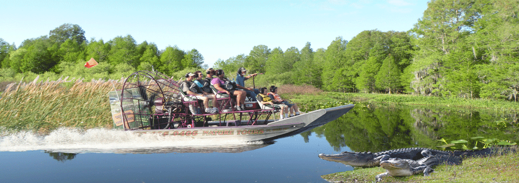 Airboat Rides in Florida